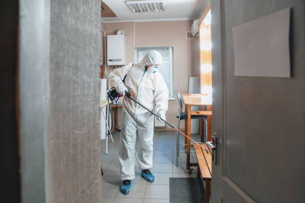 Best Comprehensive Air Testing for Mold Contaminants  in Willow, AK