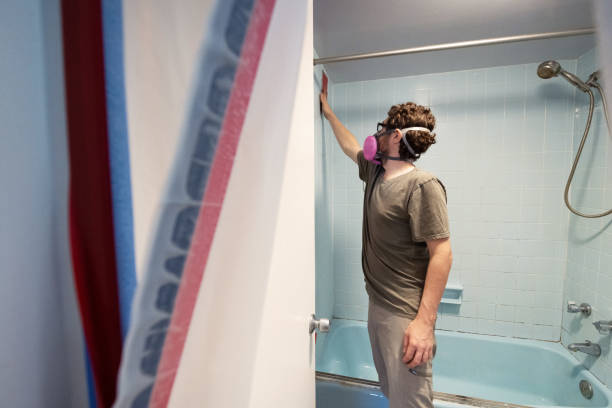 Best Mold Removal for HVAC Installations  in Willow, AK