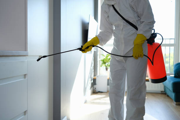 Mold Remediation for Rental Properties in Willow, AK