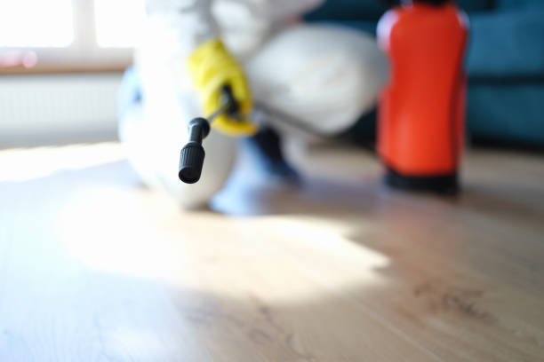 Best Air Quality Testing for Mold Spores  in Willow, AK
