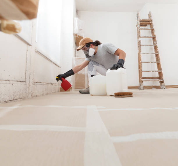 Best Industrial Mold Remediation  in Willow, AK